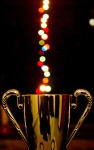 4694-award-cup-lights